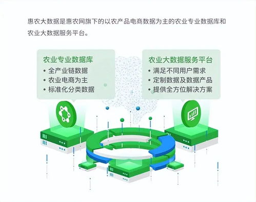 惠農網 數字化產業服務十年助農路，從追趕到超越的數字內容賦能之旅